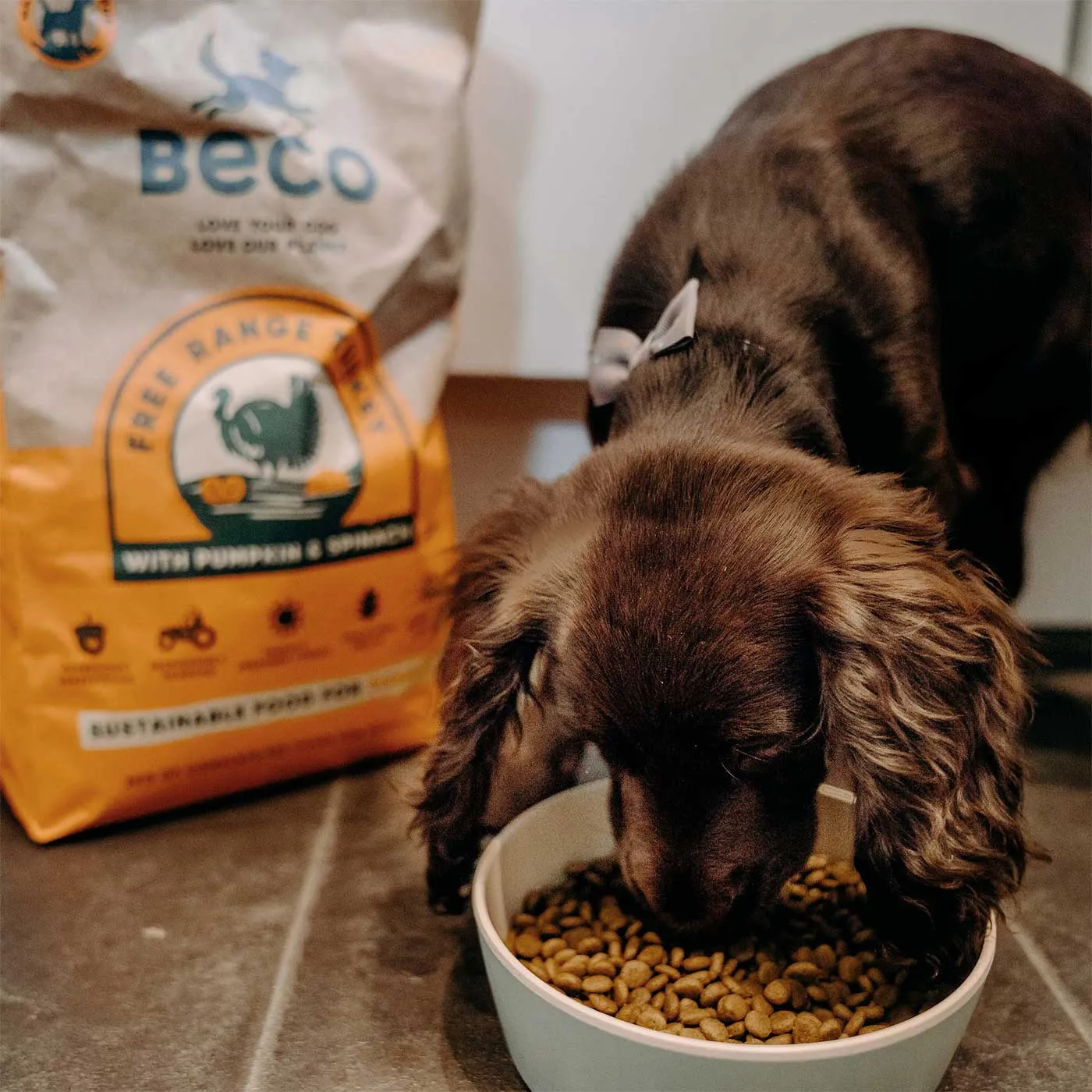 Beco Free Range Turkey With Pumpkin & Spinach Puppy Food