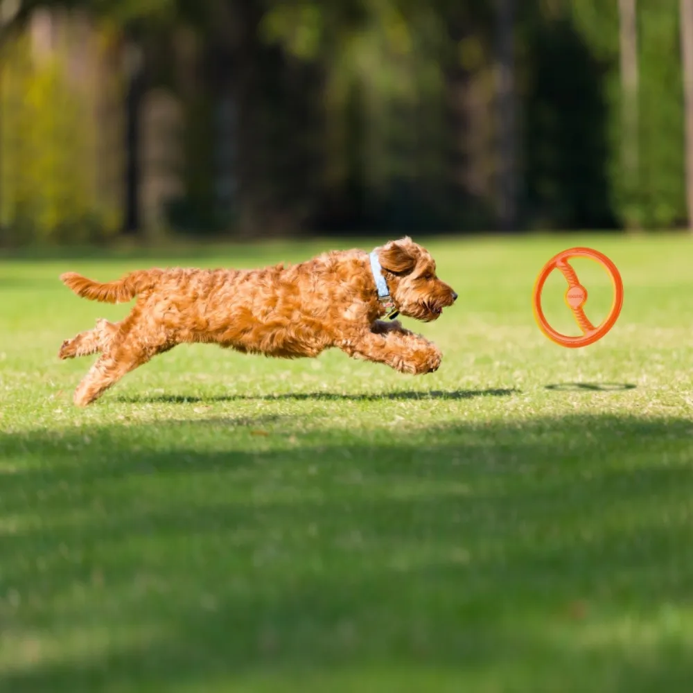 Bionic Toss and Tug Dog Toy