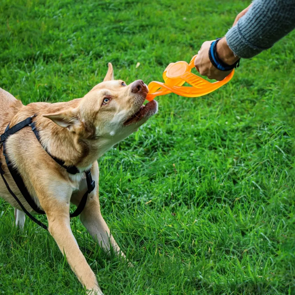 Bionic Toss and Tug Dog Toy