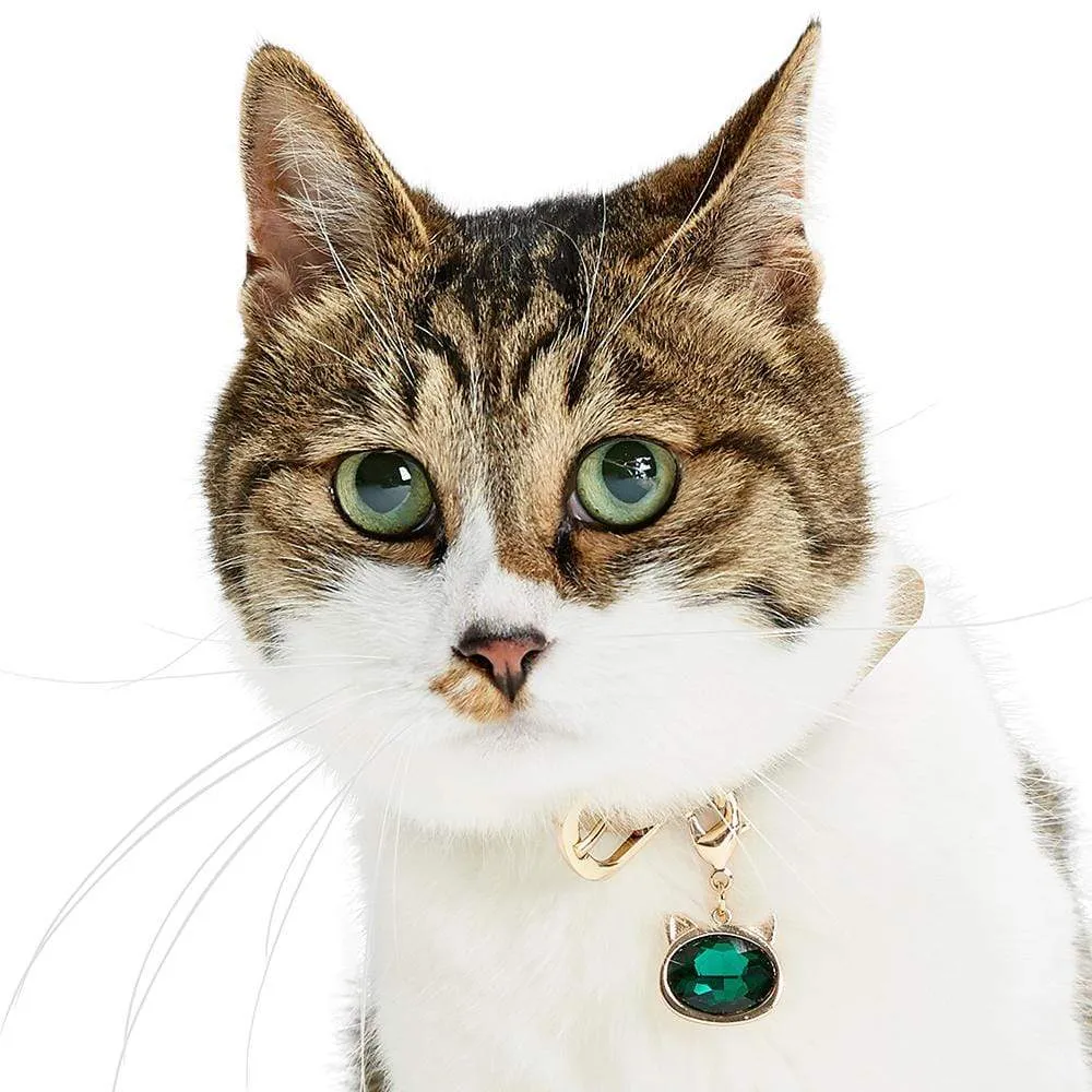 Cat Collar Accessory Set