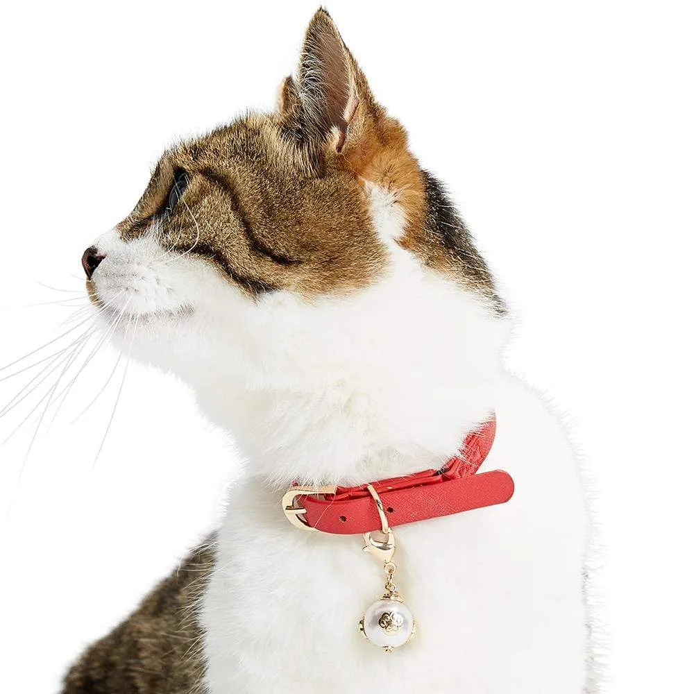 Cat Collar Accessory Set