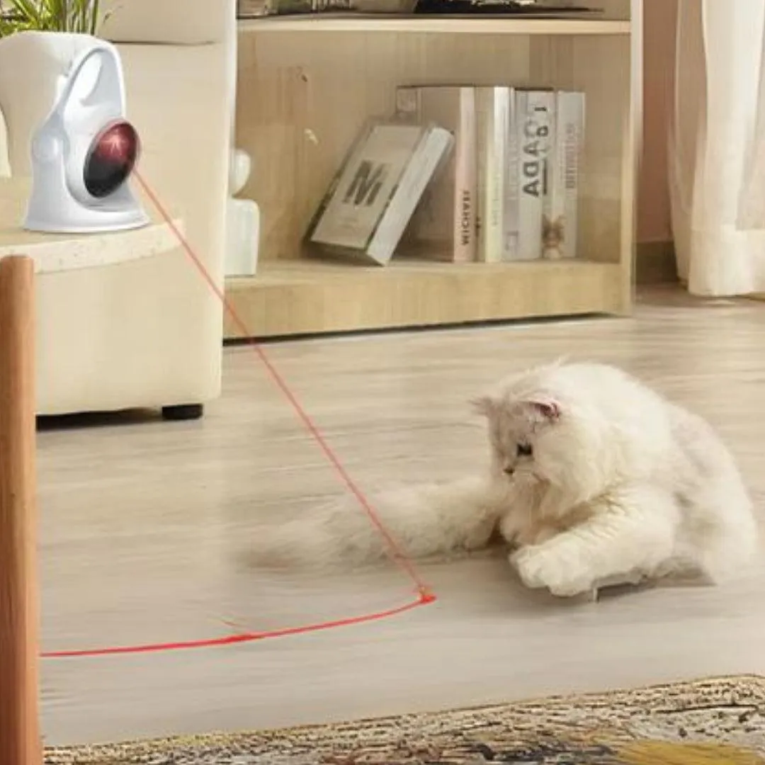 CatCam Interactive Cat Laser Pointer