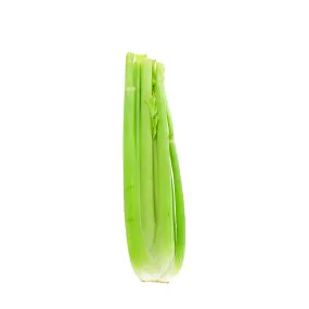 Celery 1 Bunch