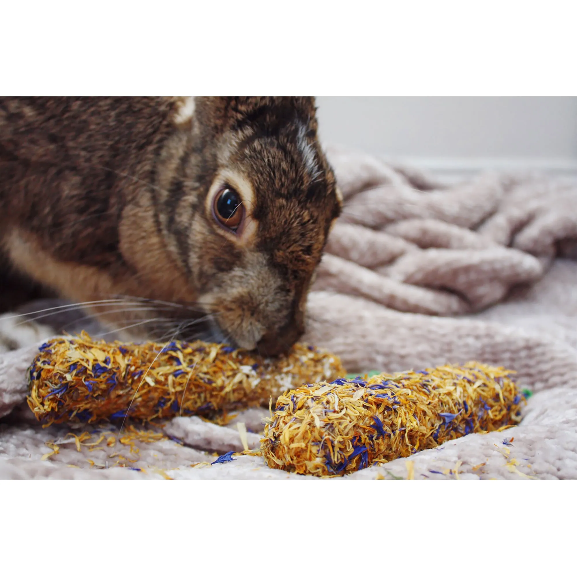 Chew Sticks with Cornflower & Marigold