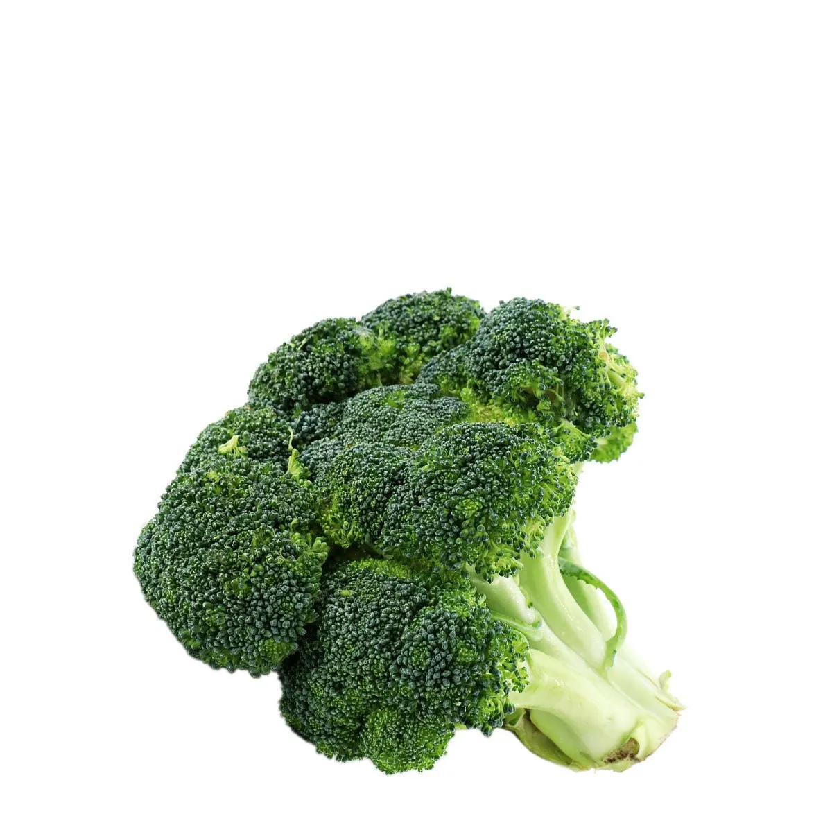 Crown Broccoli