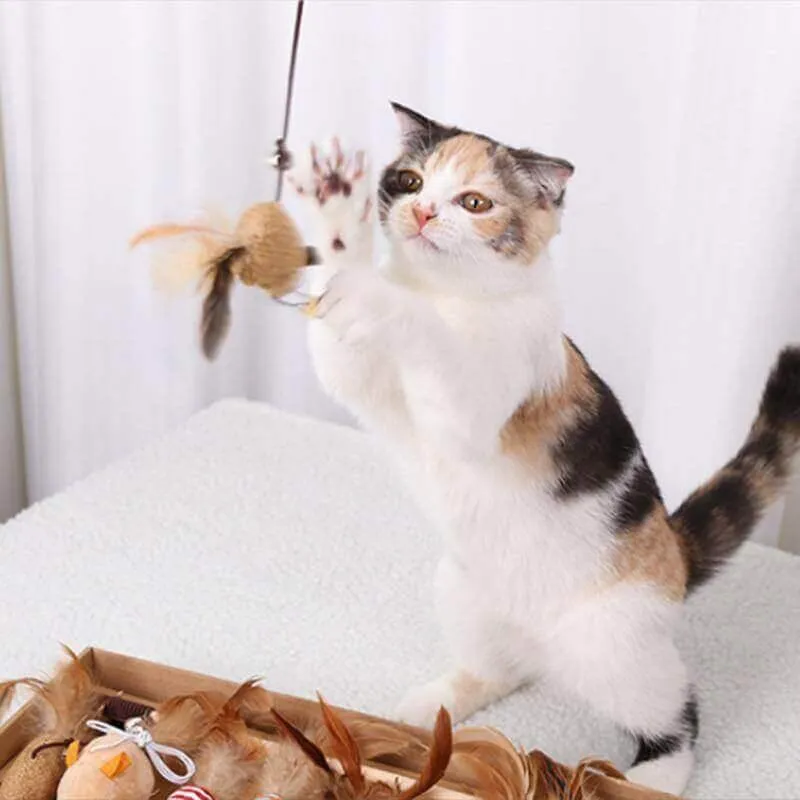 Cutie Catz 7pcs Feather Cat Toy