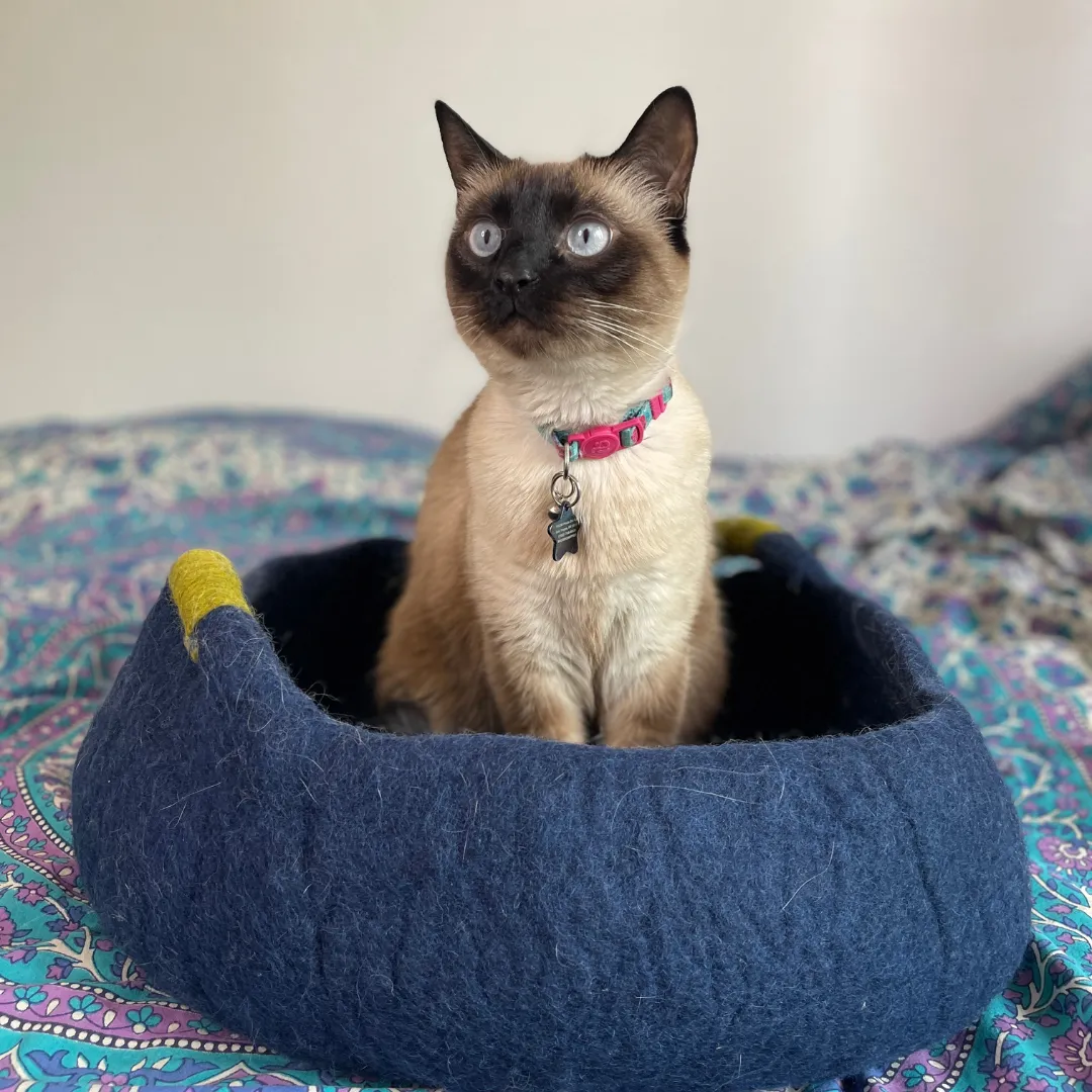 Handmade Wool Cat Bed with Handles (for small dogs too!)