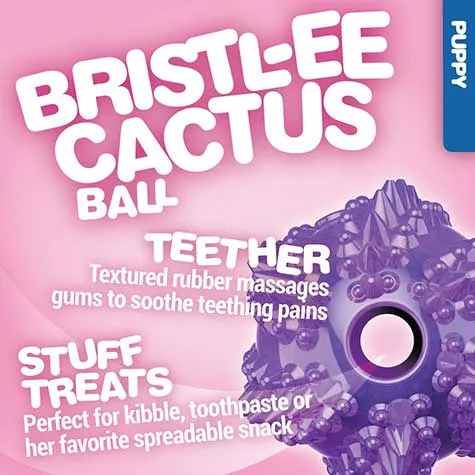 JW Bristl-ee Cactus Ball Puppy Toy