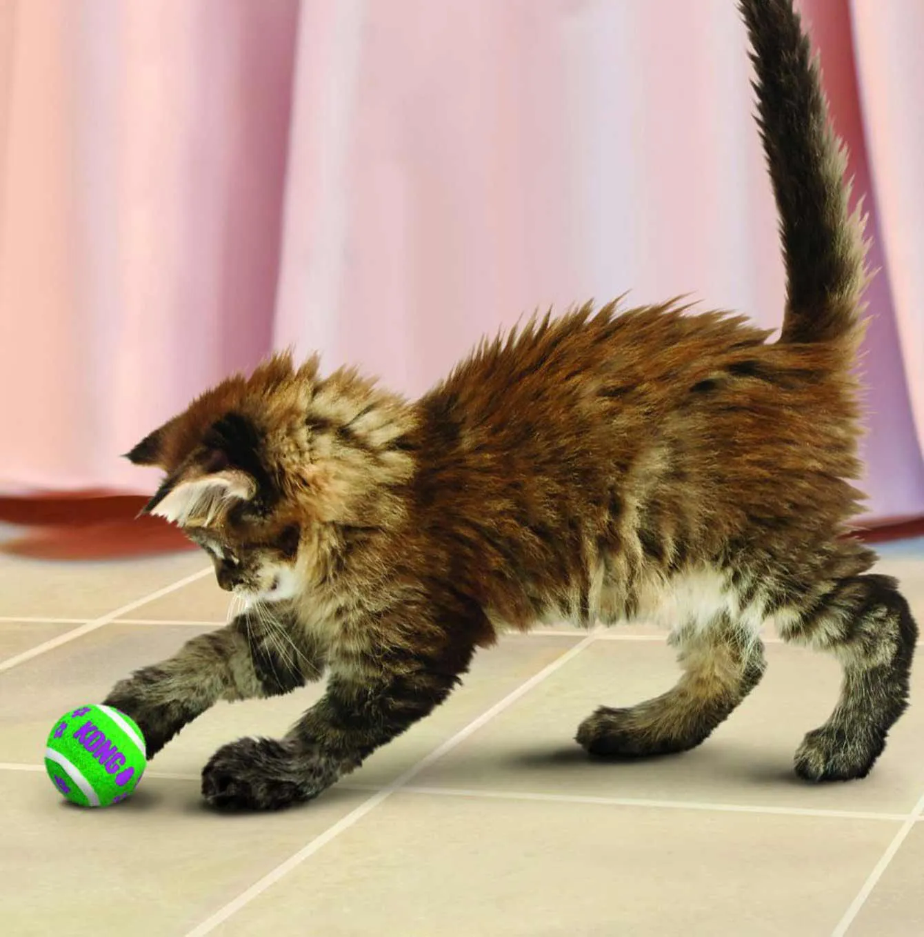 KONG Cat Active Tennis Balls With Bells