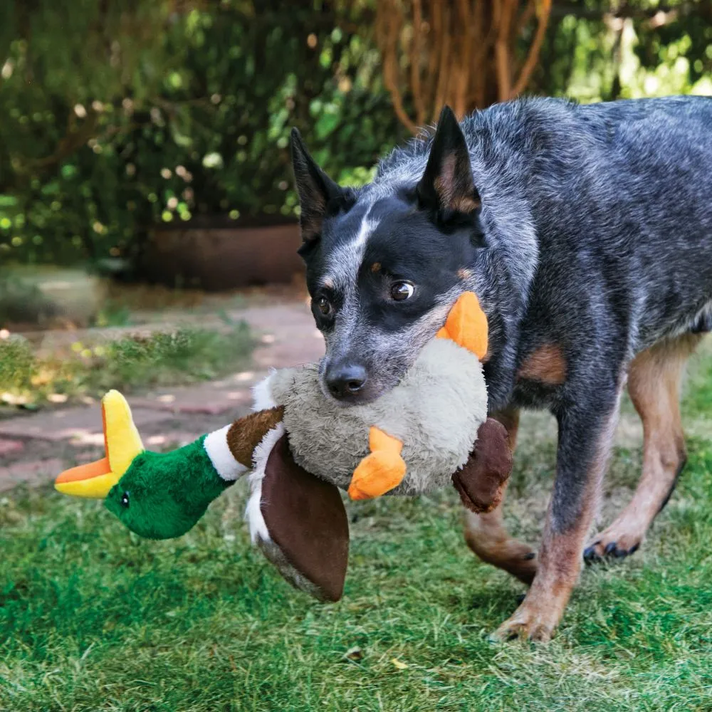 KONG® Shakers™ Honkers Duck Large