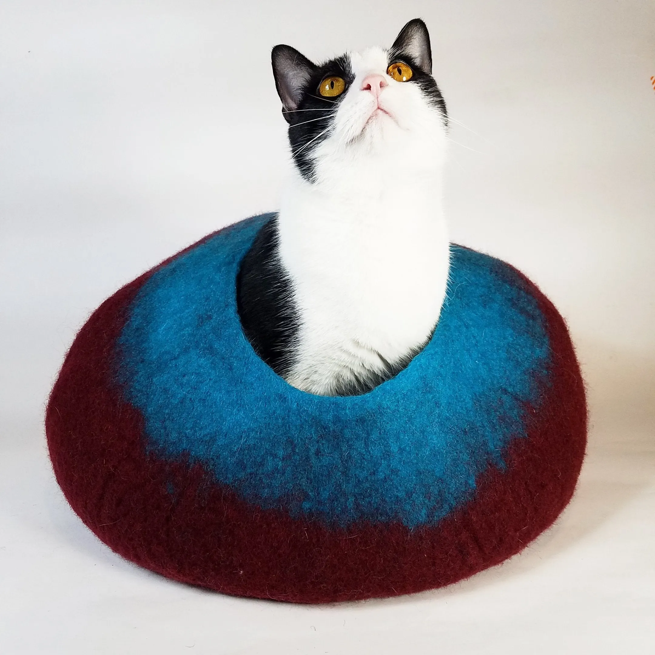 Maroon and Teal Cat Cave | Pet Bed