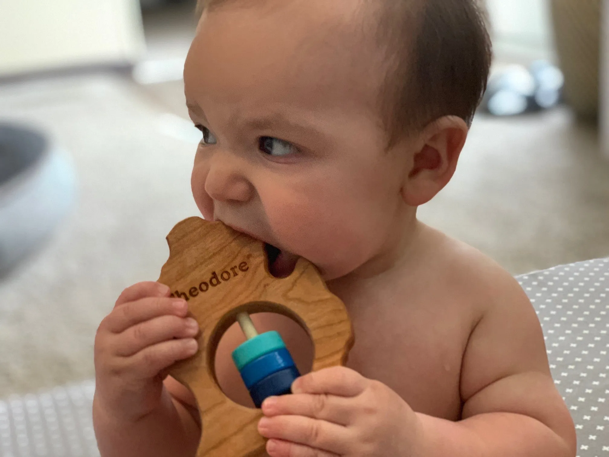 Michigan (Lower Peninsula) Wooden Baby Rattle™