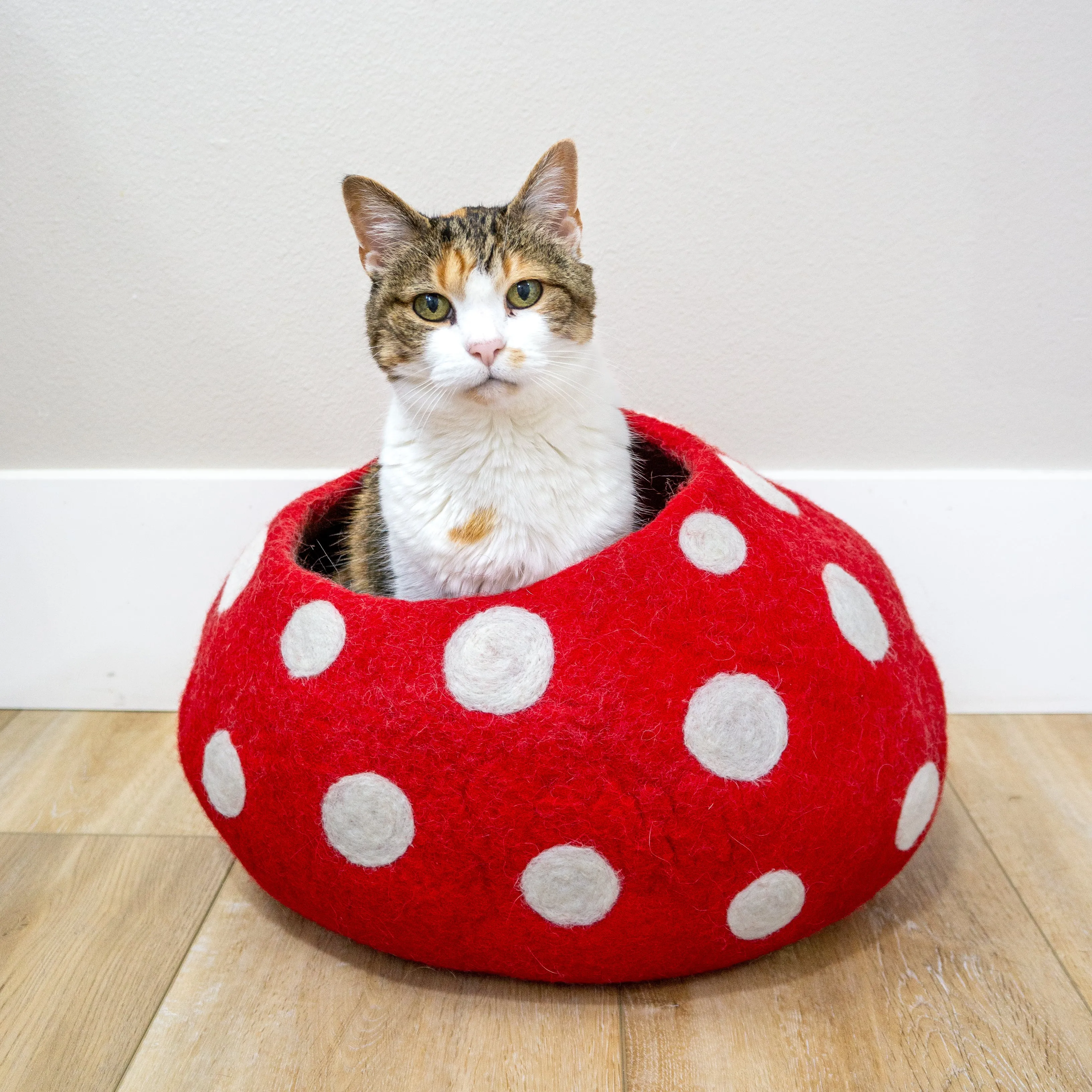 Mushroom Eco Kitty Cave - Red