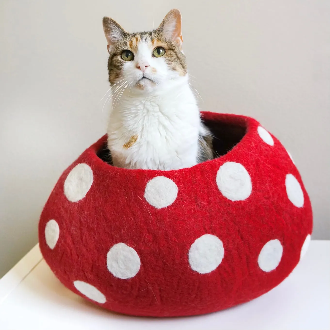 Mushroom Eco Kitty Cave - Red