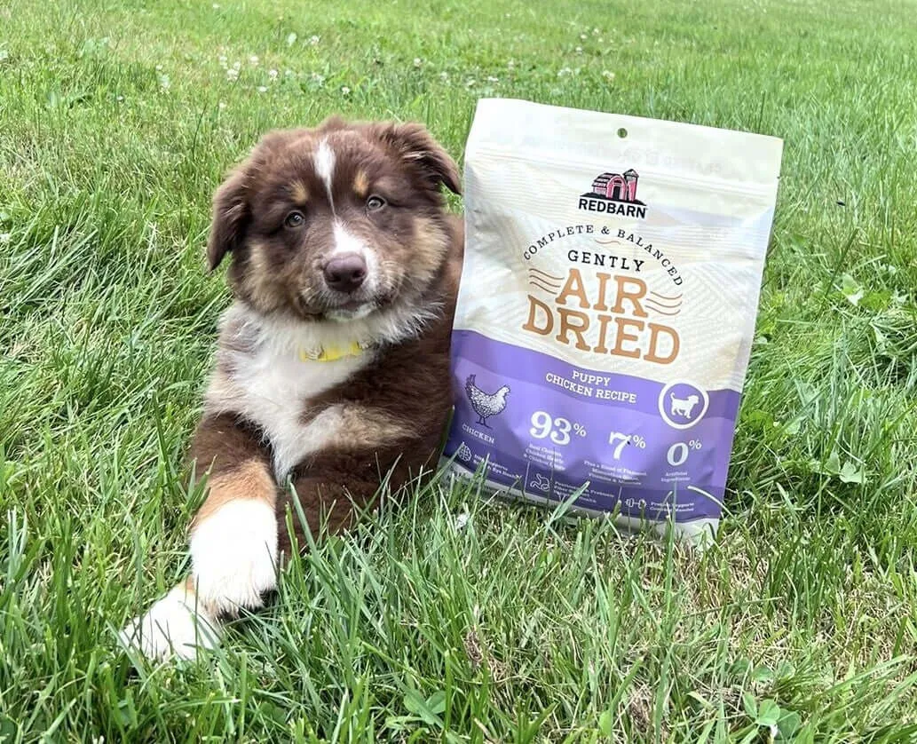 NEW! Air Dried Puppy Recipe Dog Food