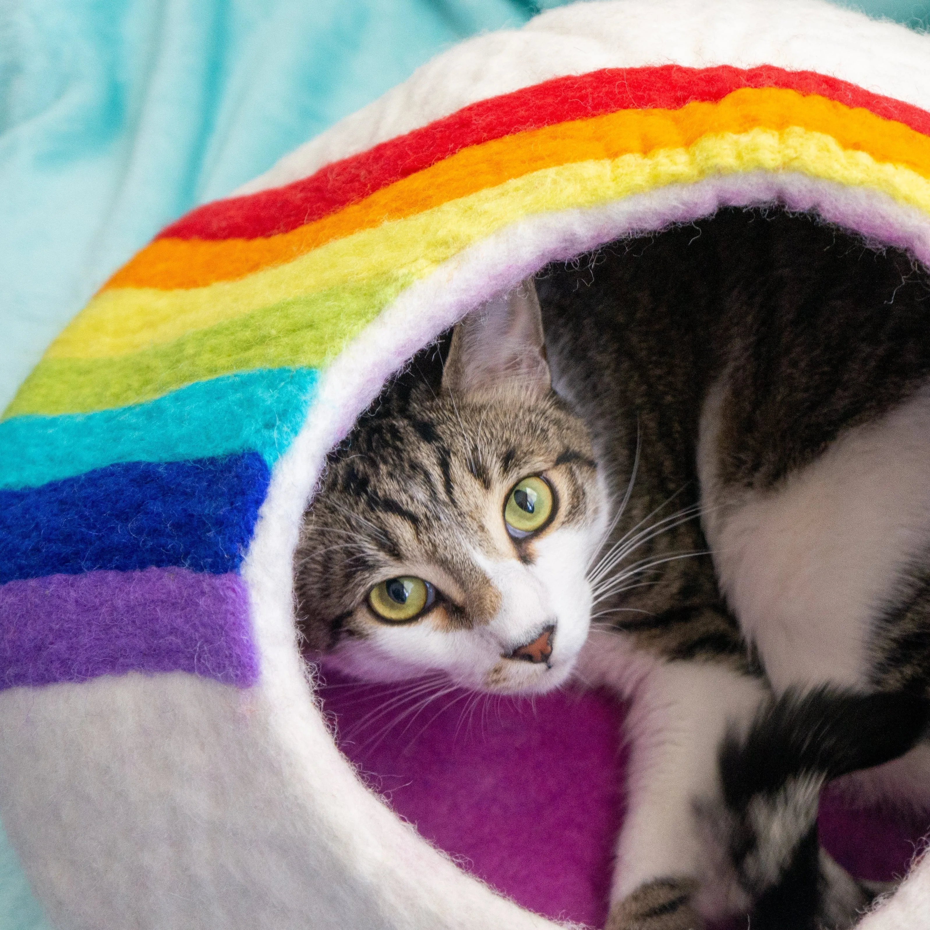 Rainbow Eco Kitty Cave