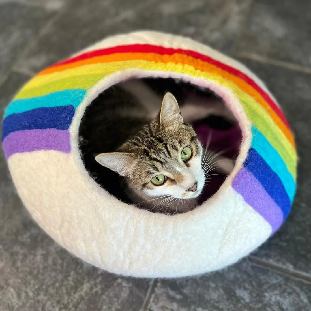 Rainbow Eco Kitty Cave