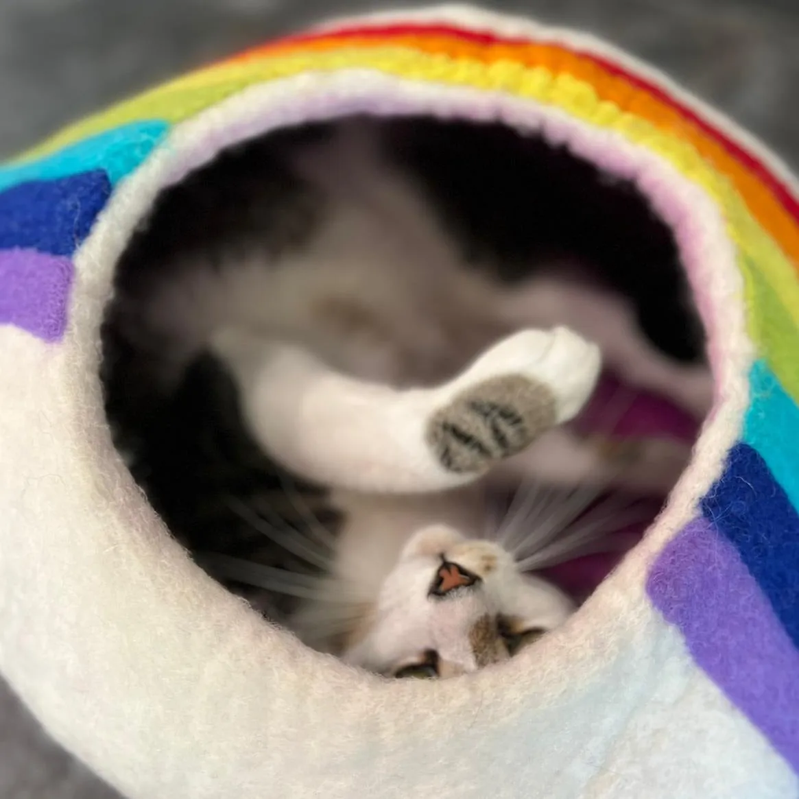 Rainbow Eco Kitty Cave