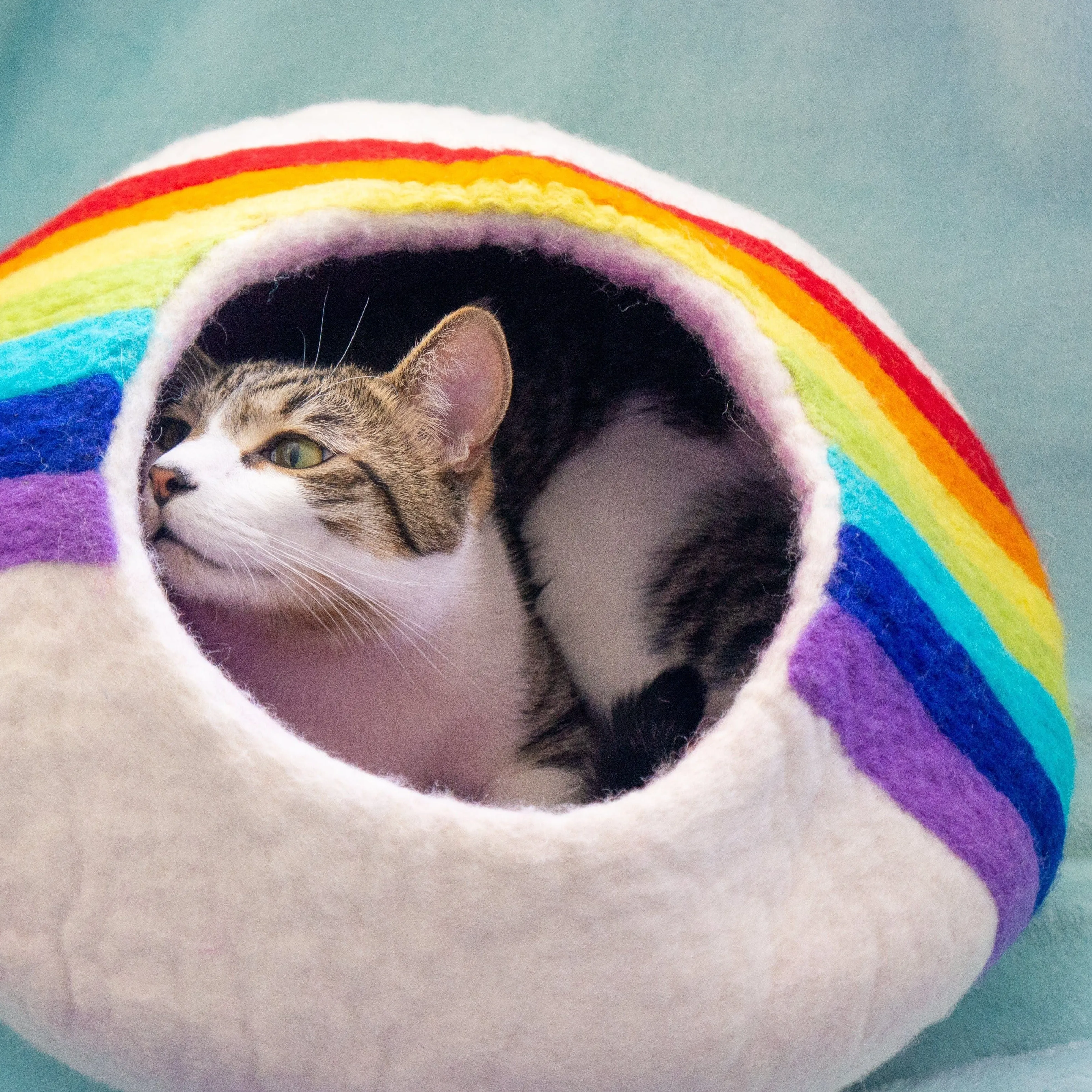 Rainbow Eco Kitty Cave