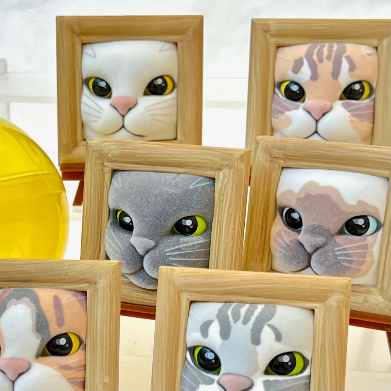 X 70245 Cat Frame Figurine Capsule-DISCONTINUED