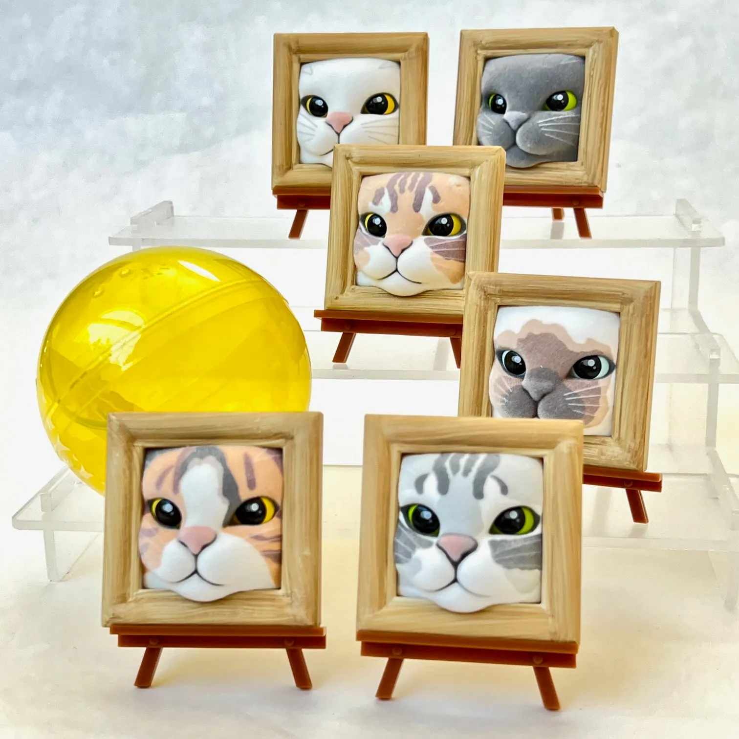 X 70245 Cat Frame Figurine Capsule-DISCONTINUED